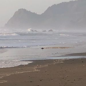 Meet your Posher, Colleen